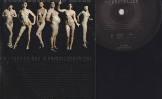[2009] Pussy (12″ vinyl)