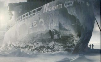 [2005] Rosenrot (Limited Edition)